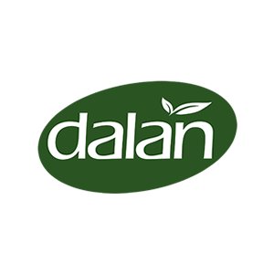Dalan